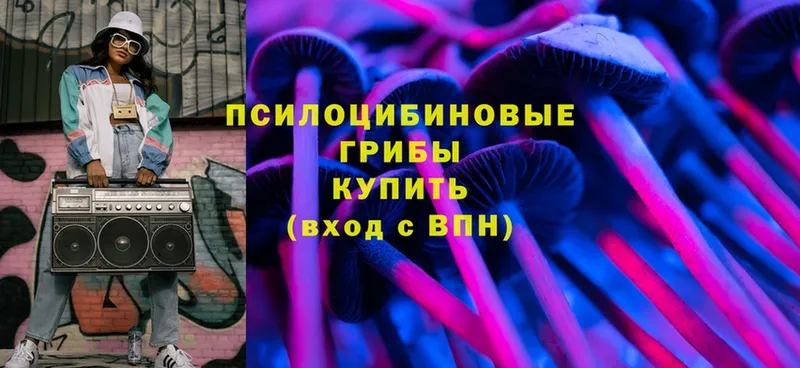 Псилоцибиновые грибы MAGIC MUSHROOMS  blacksprut ссылки  Ясногорск 