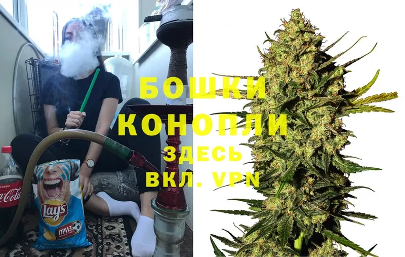 Шишки марихуана OG Kush  Ясногорск 